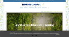 Desktop Screenshot of cosip.com